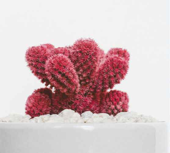 在线DDOS压力测试网页端